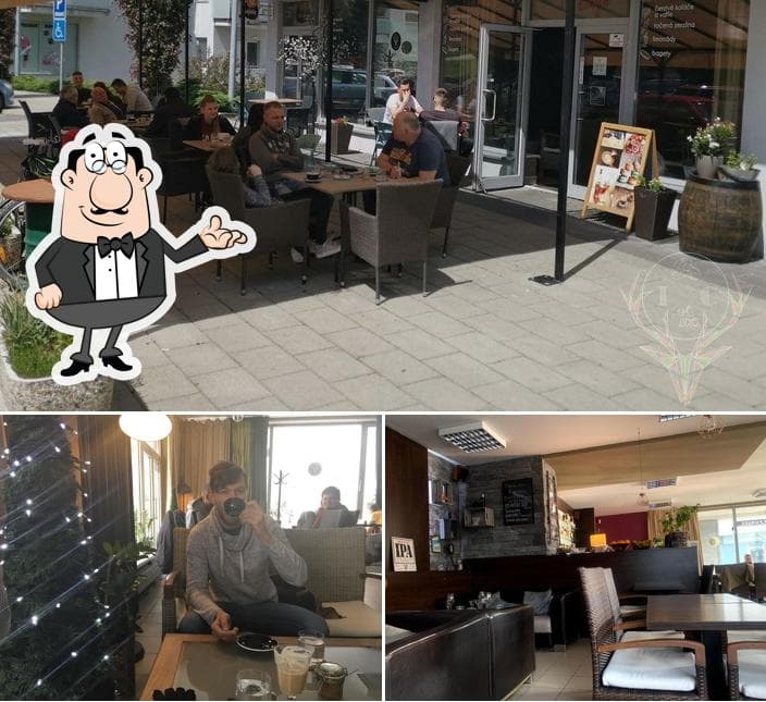 Interiér kaviarne Impresso, moderný drevený dizajn